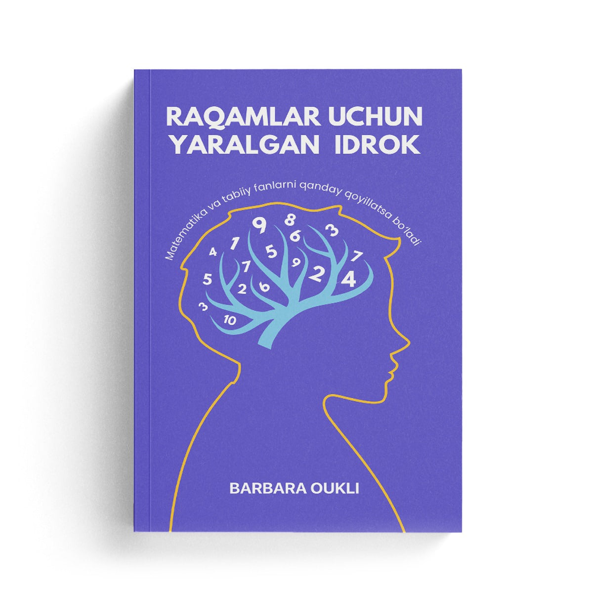 Raqamlar uchun yaralgan idrok