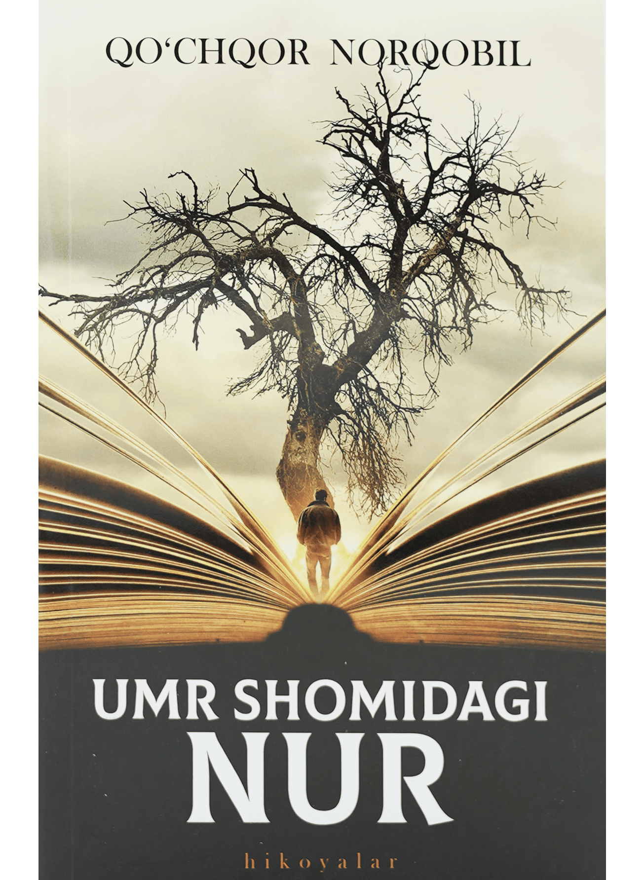 Umr oqshomidagi nur