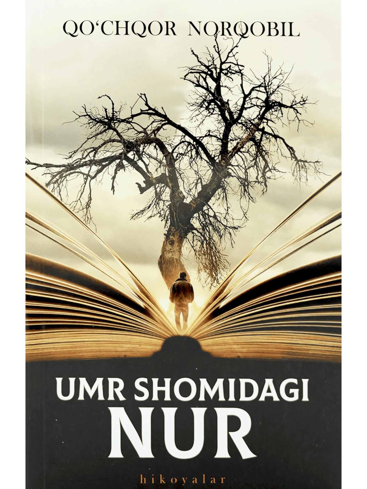 Umr oqshomidagi nur