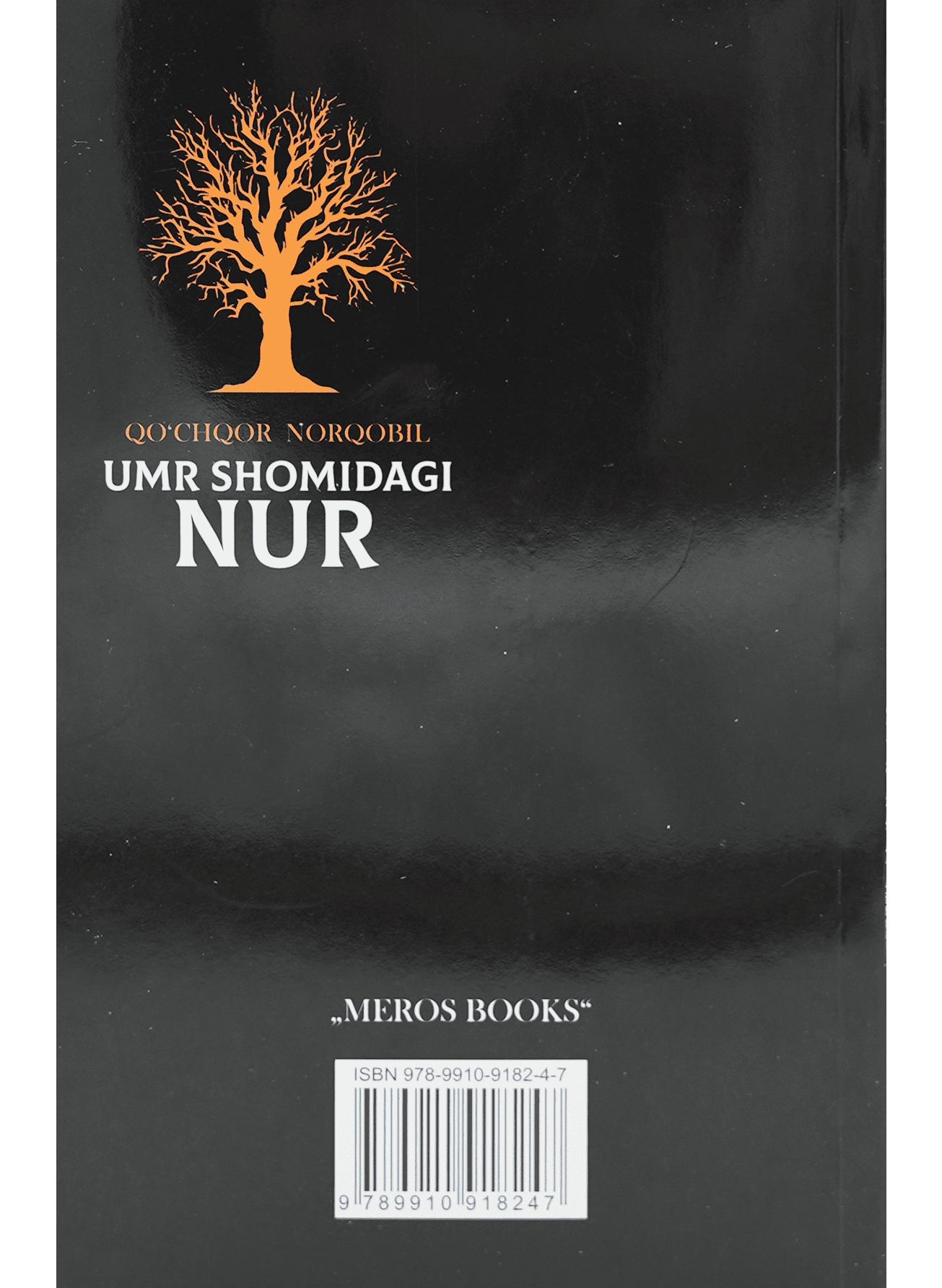 Umr oqshomidagi nur