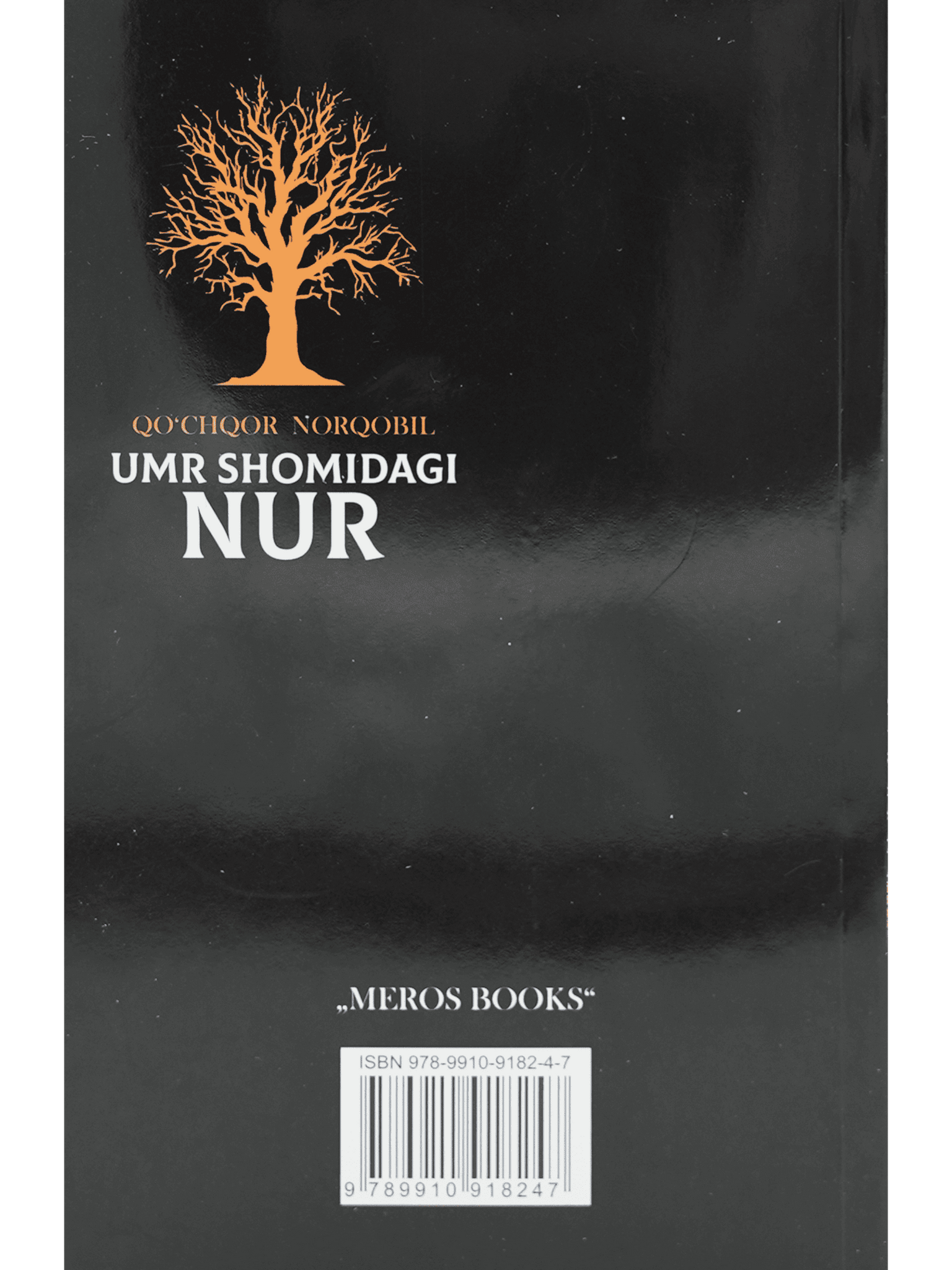 Umr oqshomidagi nur